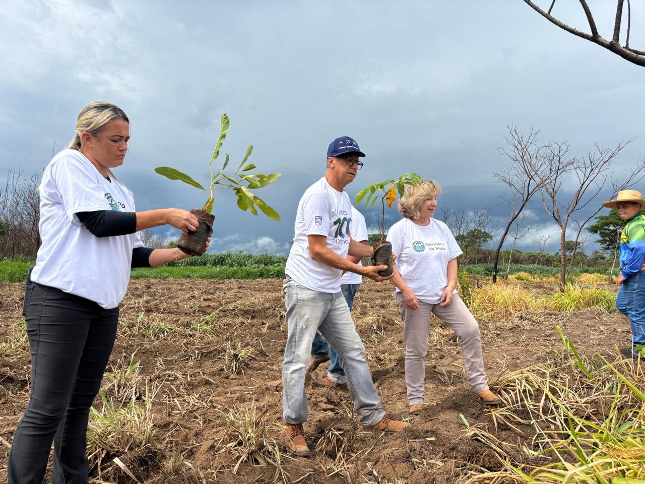Mutirão de plantio de mudas em Santo Antônio do Aracanguá