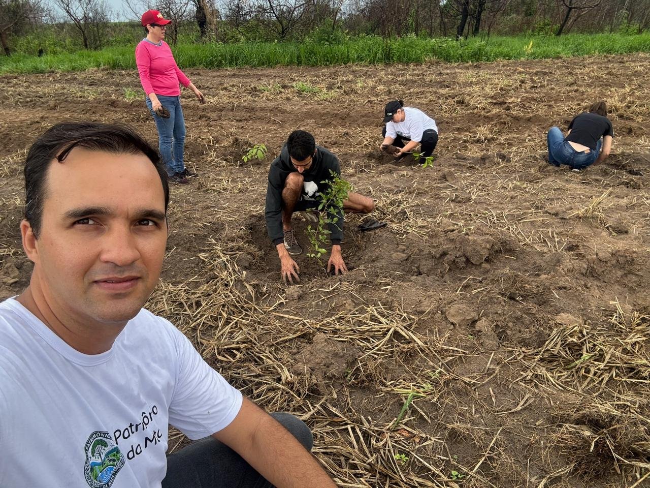 Plantio 1 — foto 5