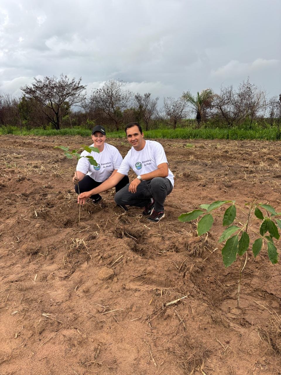 Plantio 1 — foto 10