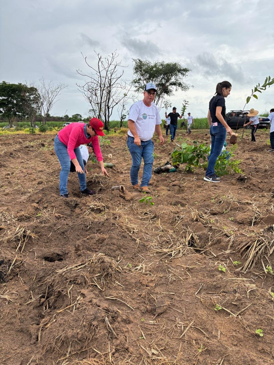 Plantio 1 — foto 14