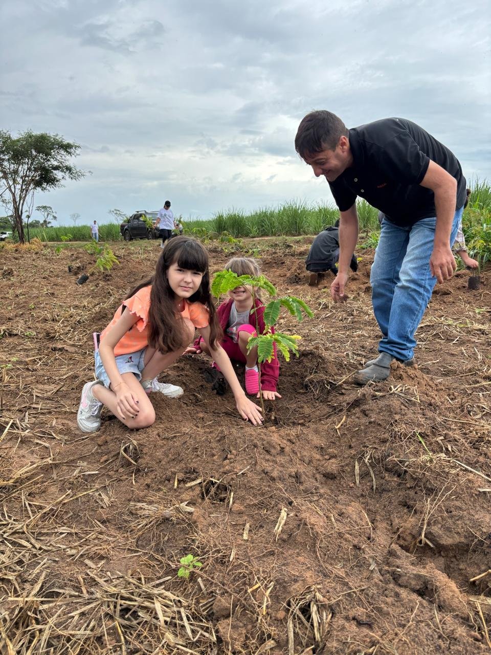 Plantio 1 — foto 16