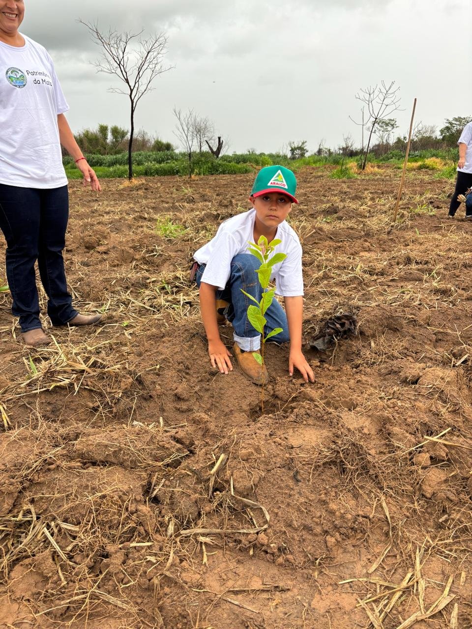 Plantio 1 — foto 19