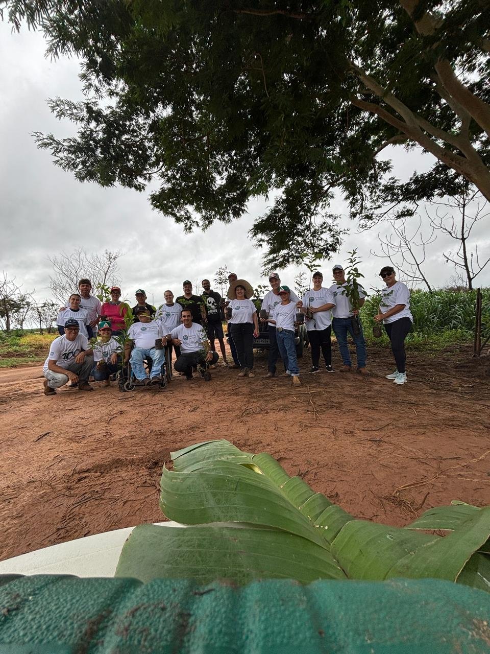 Plantio 1 — foto 21