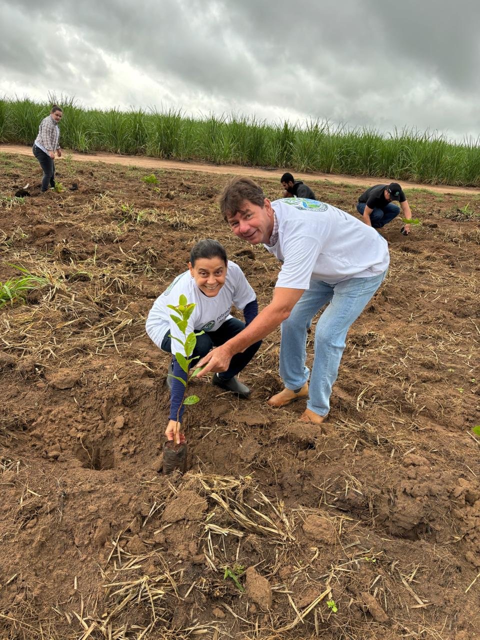 Plantio 1 — foto 23