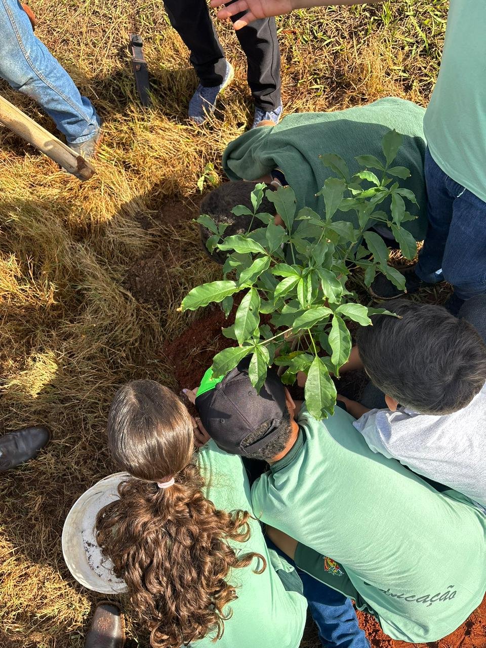 Plantio 13 — foto 1