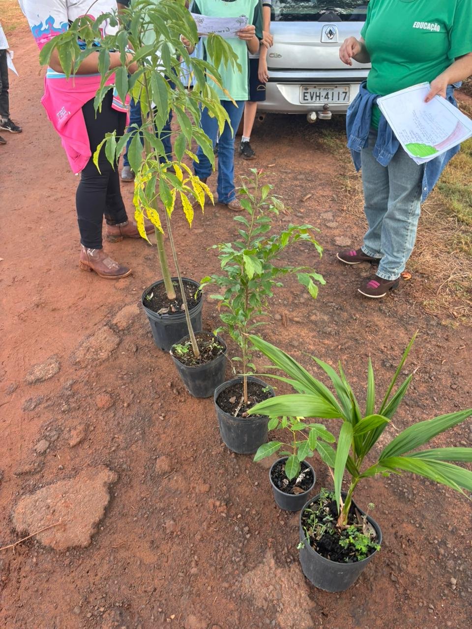 Plantio 13 — foto 6