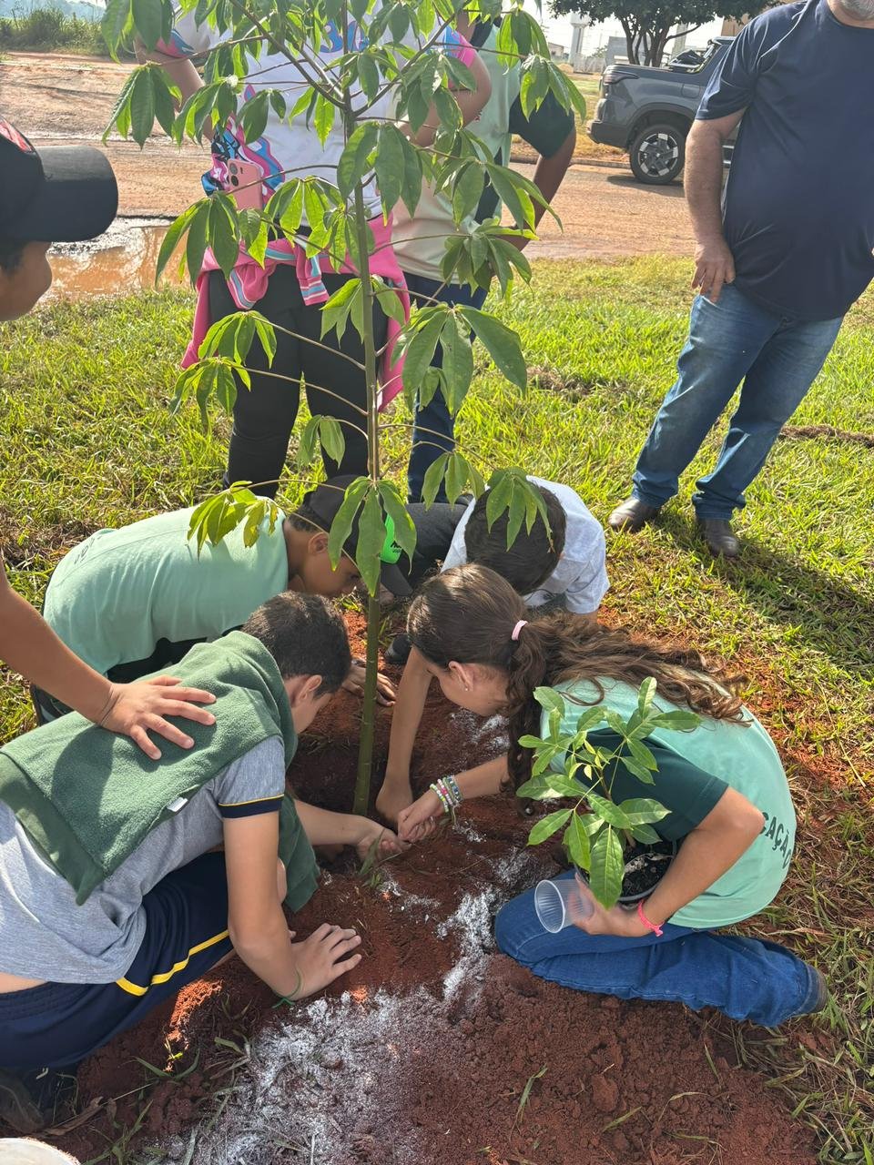 Plantio 13 — foto 7