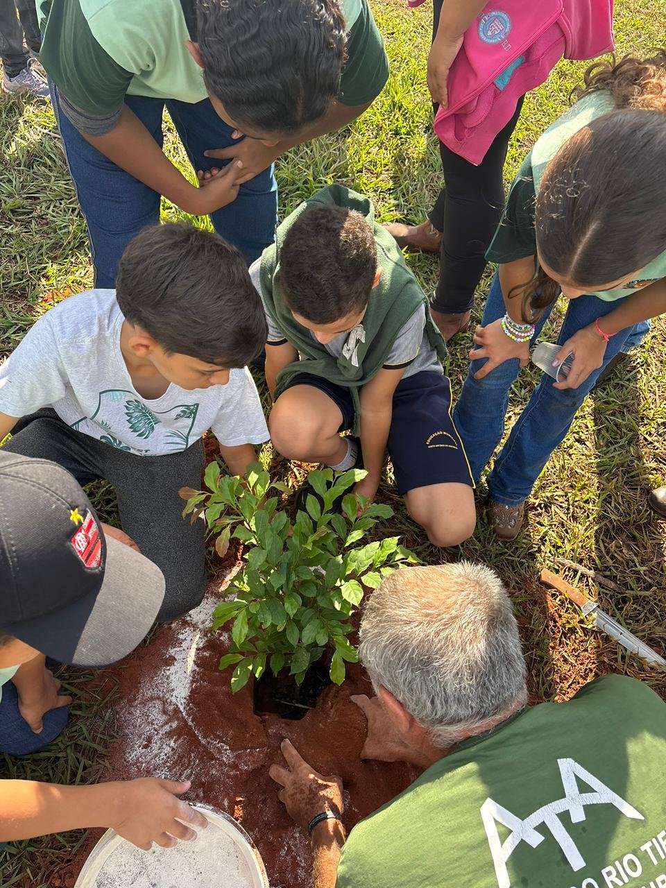 Plantio 13 — foto 11