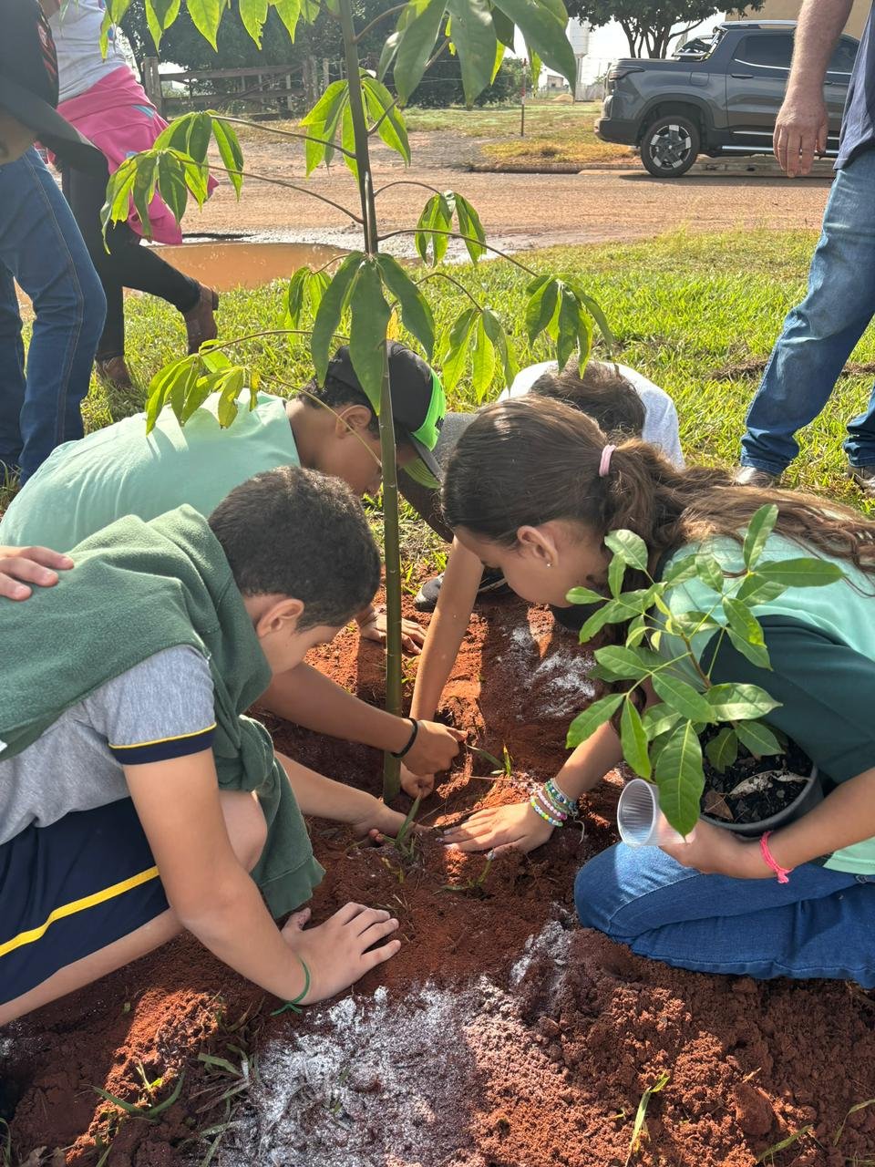 Plantio 13 — foto 13