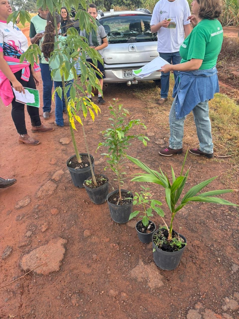 Plantio 13 — foto 14