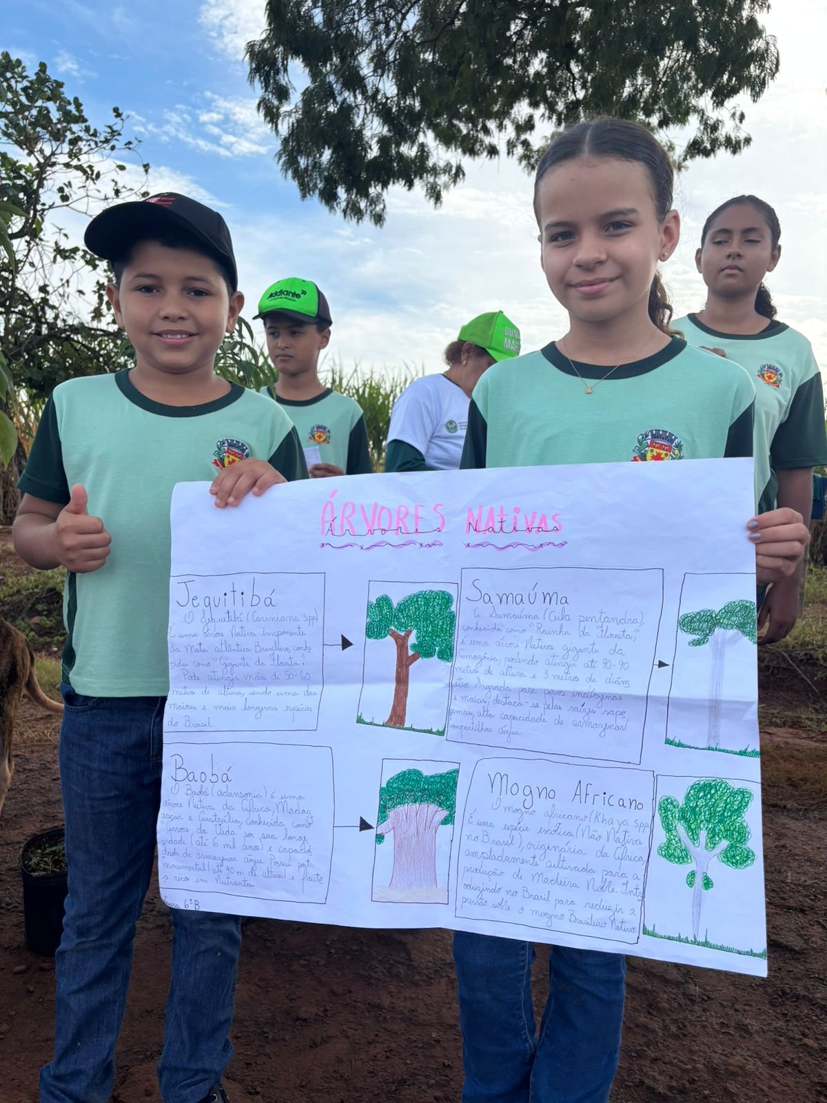 Plantio 13 — foto 30