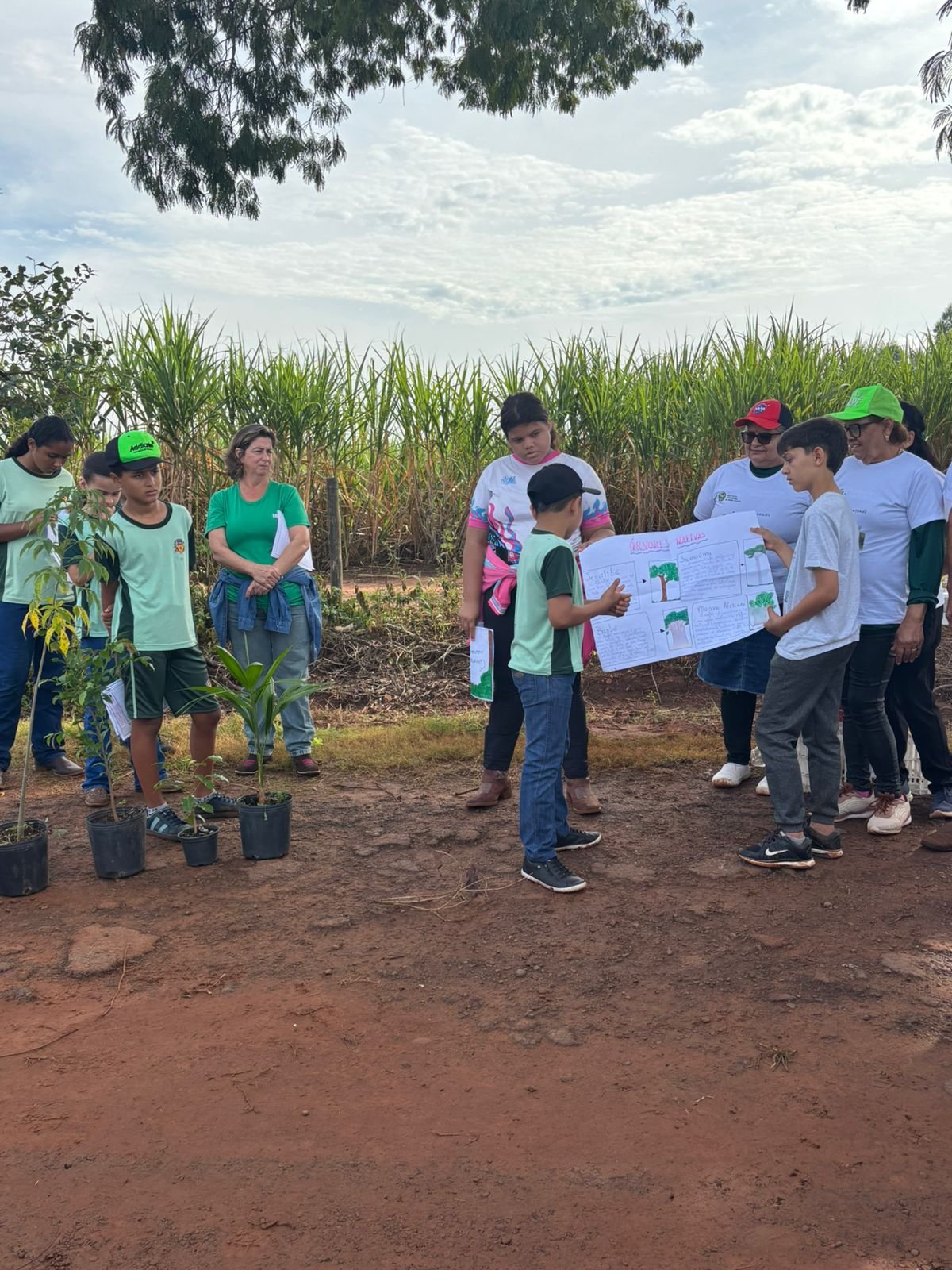 Plantio 13 — foto 39