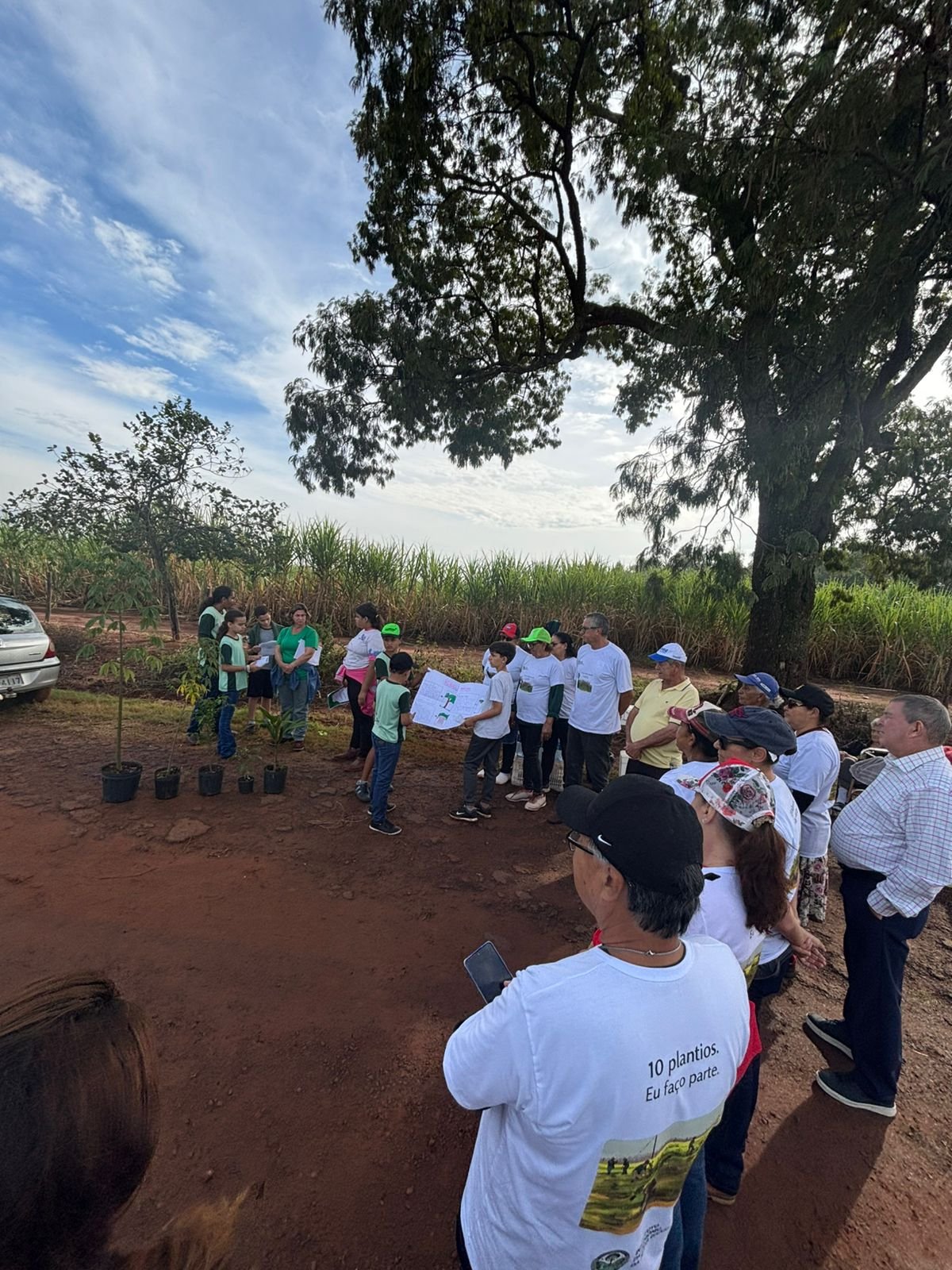Plantio 13 — foto 40