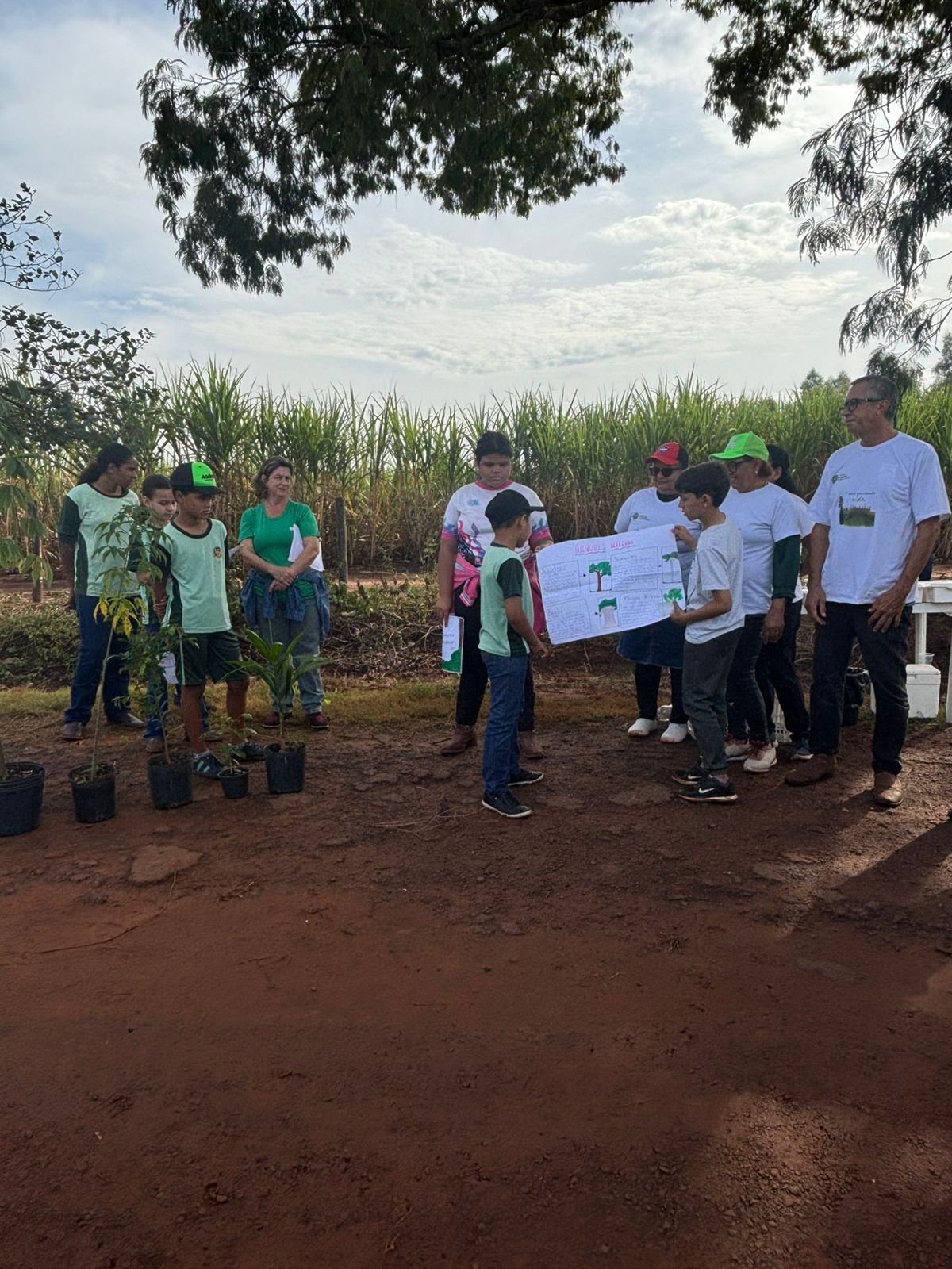 Plantio 13 — foto 41
