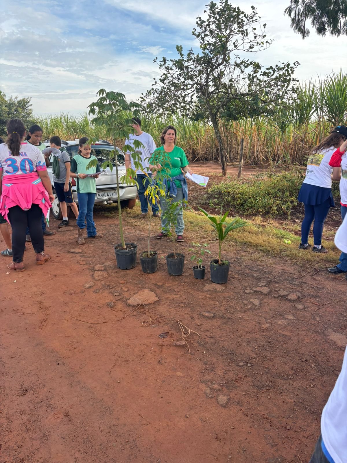 Plantio 13 — foto 43