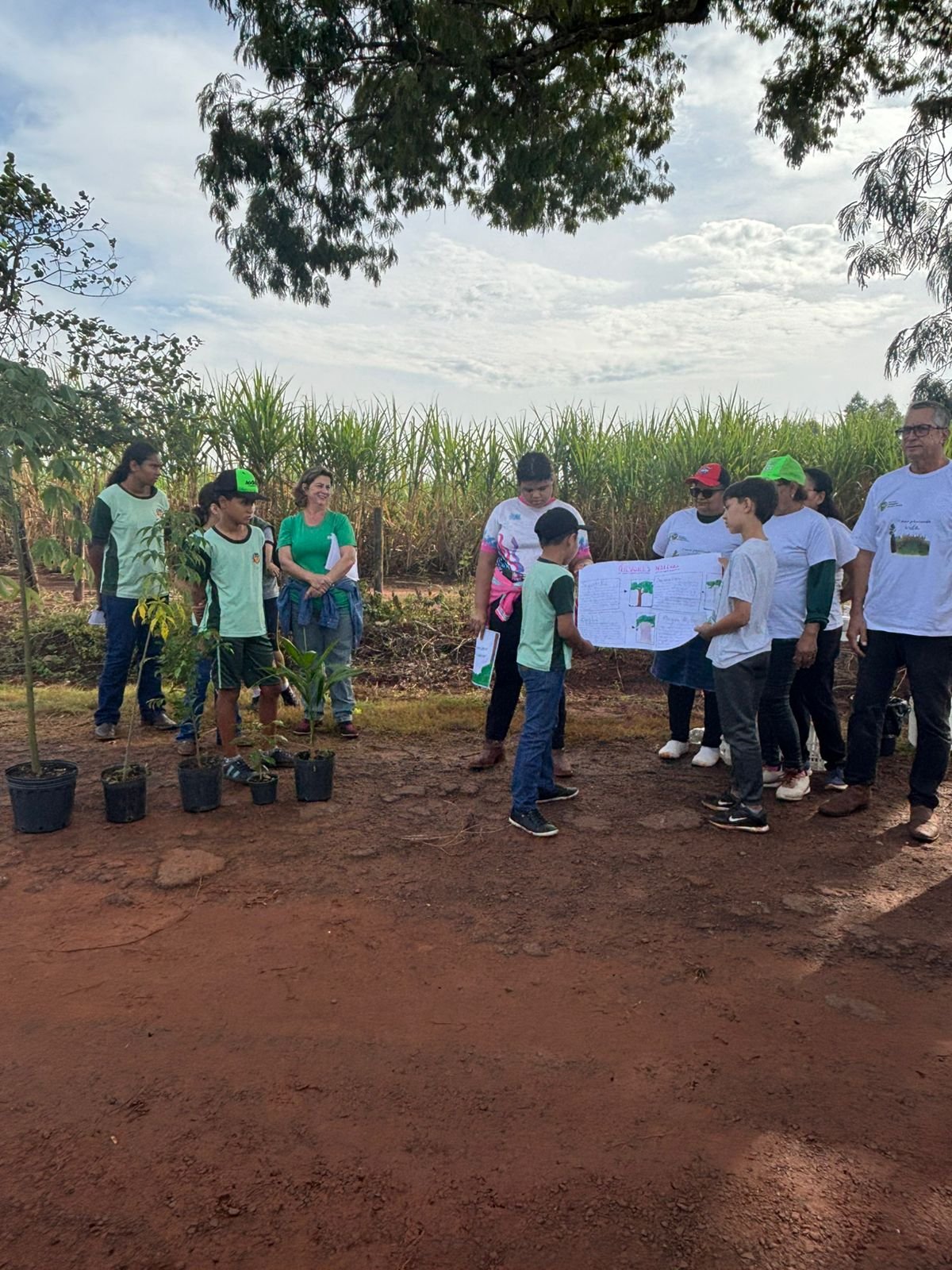 Plantio 13 — foto 42