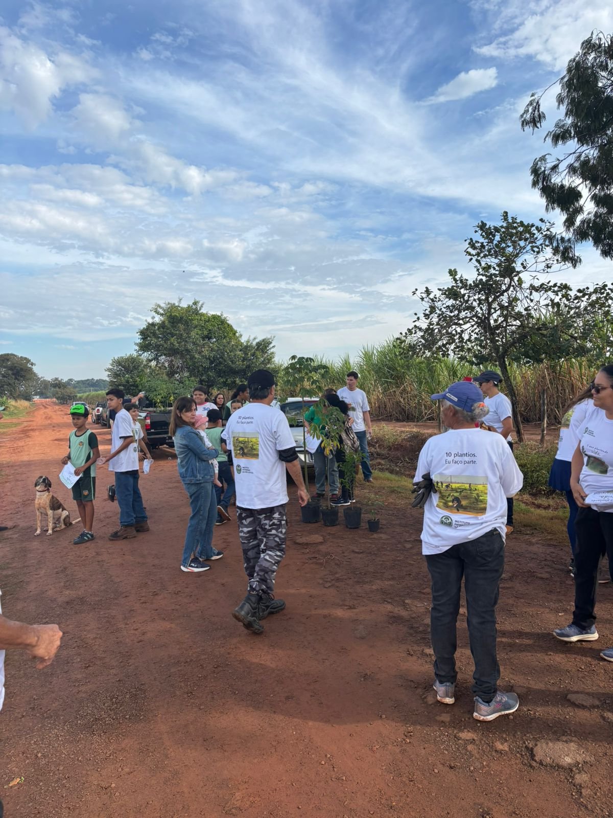 Plantio 13 — foto 46