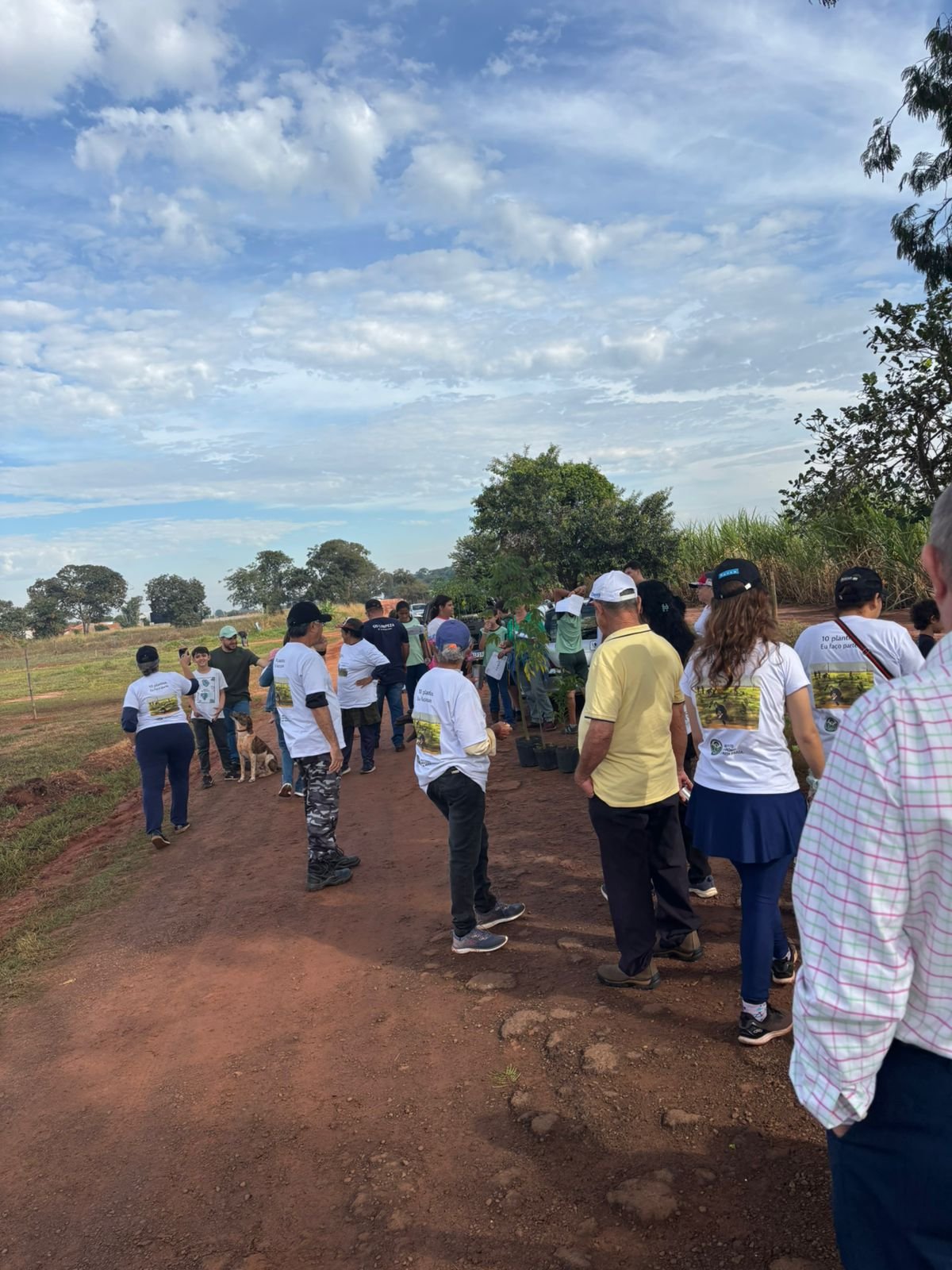 Plantio 13 — foto 47