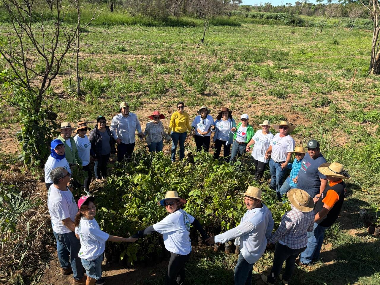 Plantio 2 — foto 14