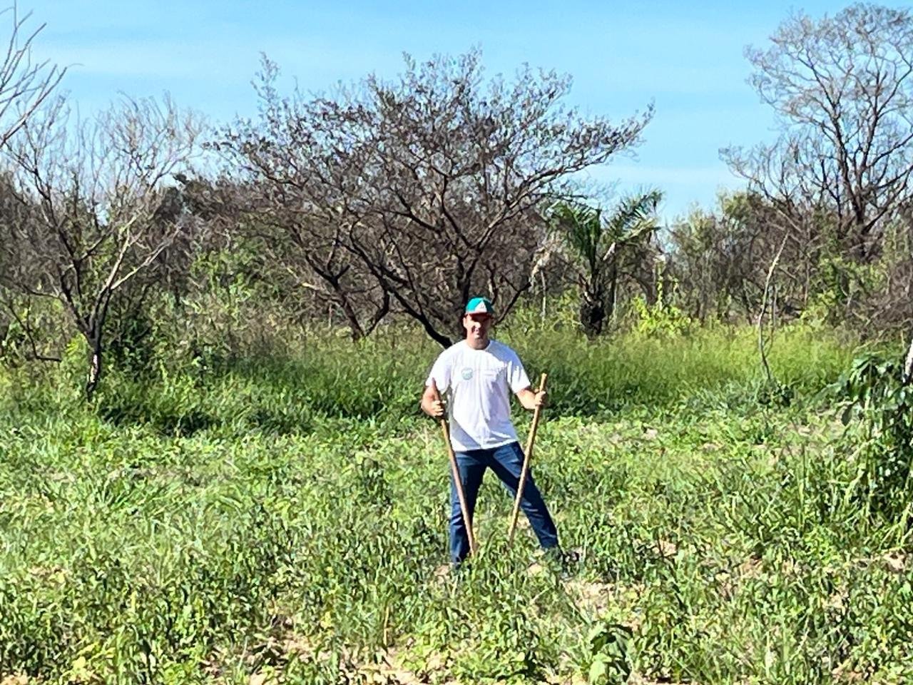 Plantio 2 — foto 18