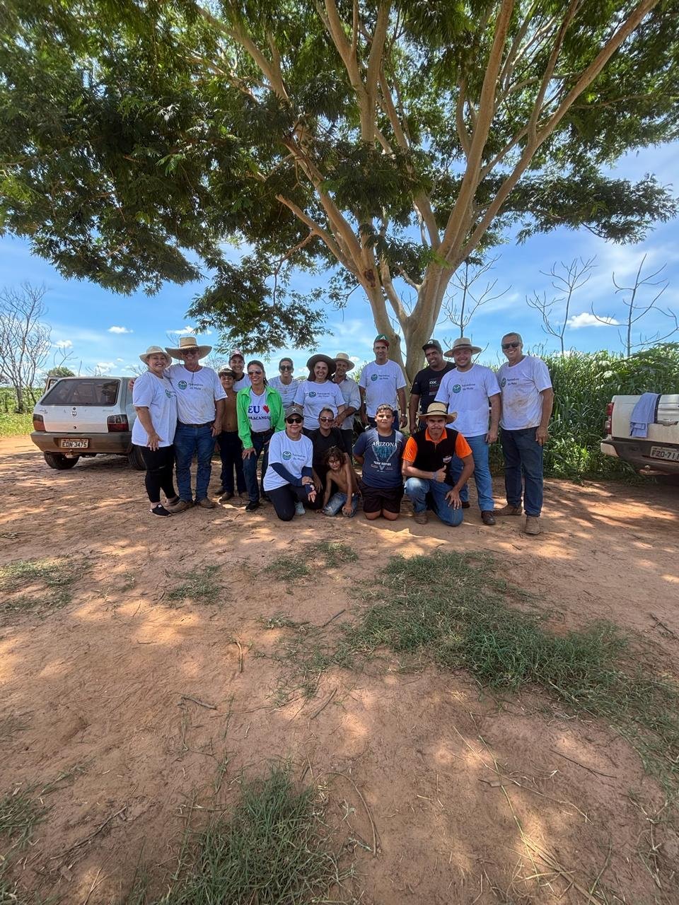 Plantio 2 — foto 59