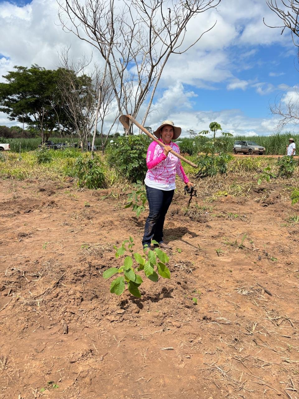 Plantio 3 — foto 4