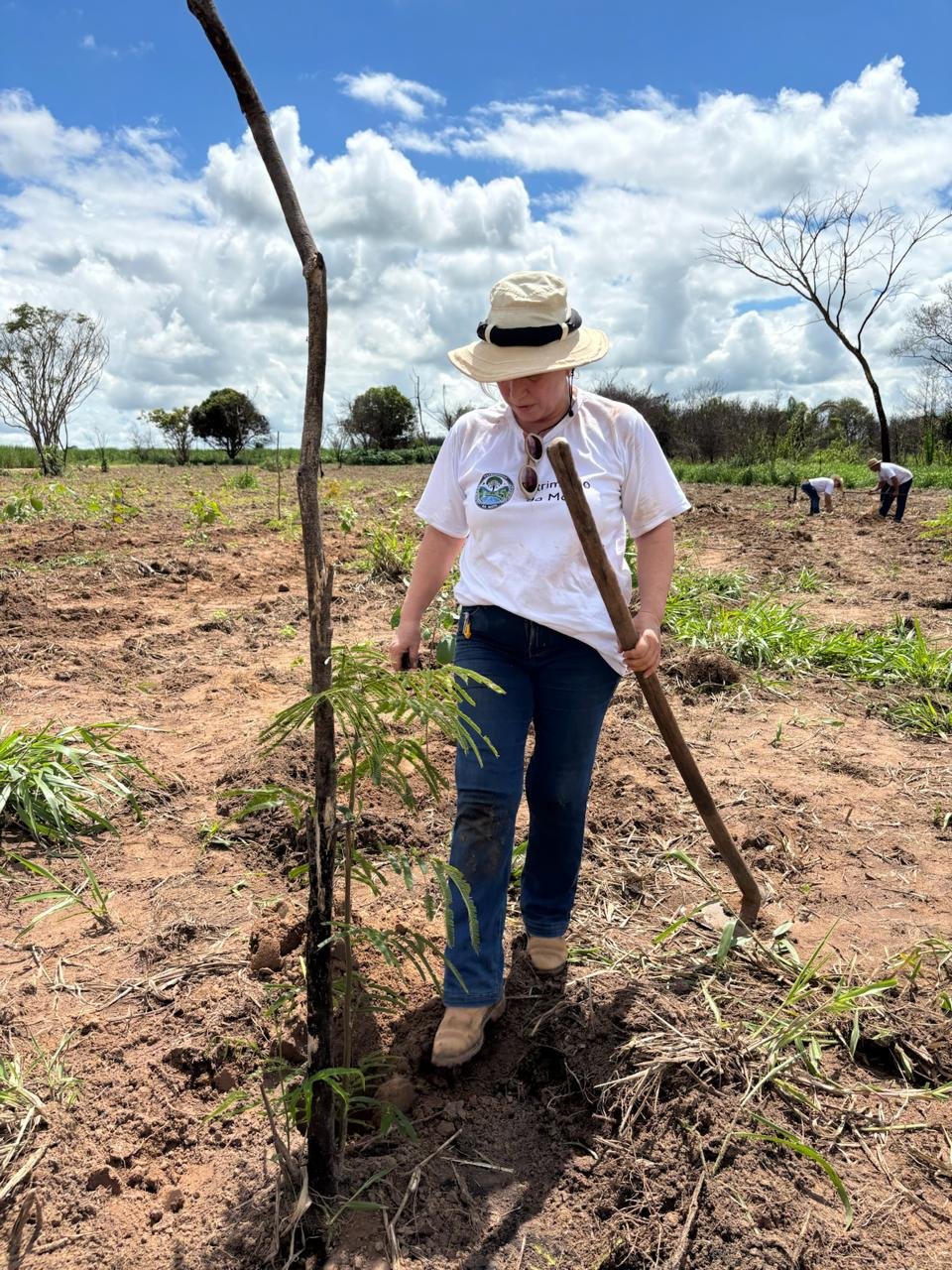 Plantio 3 — foto 20