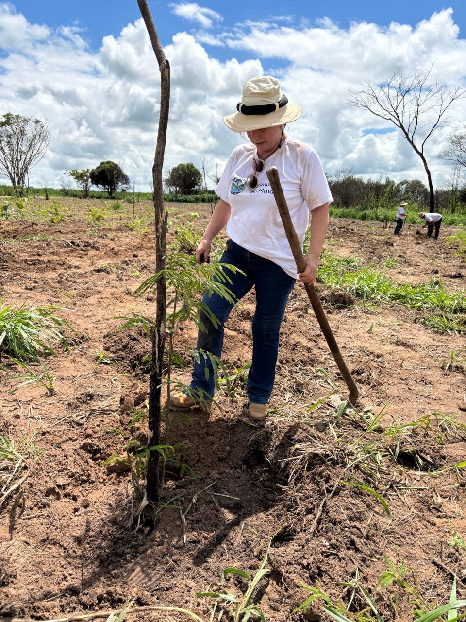 Plantio 3 — foto 21