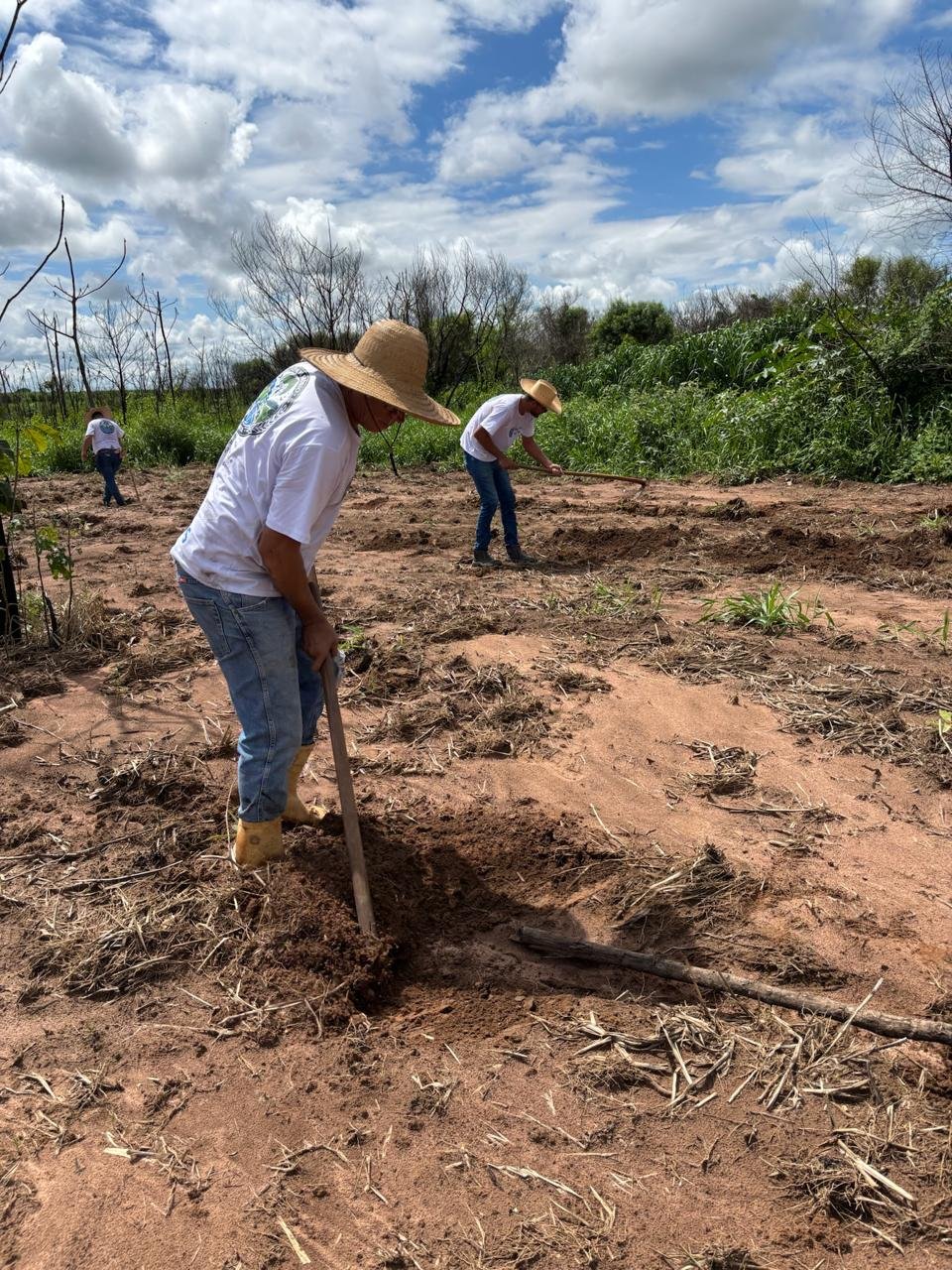 Plantio 3 — foto 25