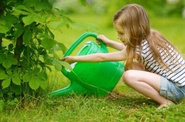 Projeto de educação ambiental do Patrimônio da Mata Brasil em Auriflama